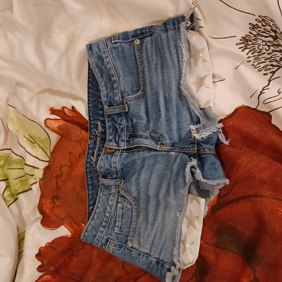 American Eagle Outfitters Pants - A pair of shorts American Eagle